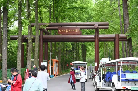 长乐林场