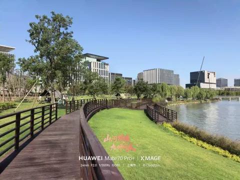 临湖木栈道与草坪