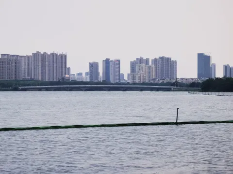 请输入图片描述