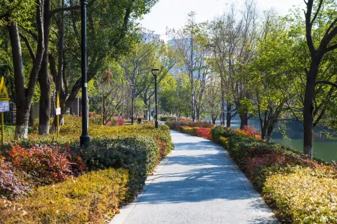 河边的散步走道