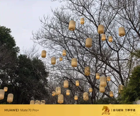 枝上灯影