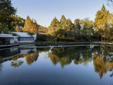 宁静的湖面