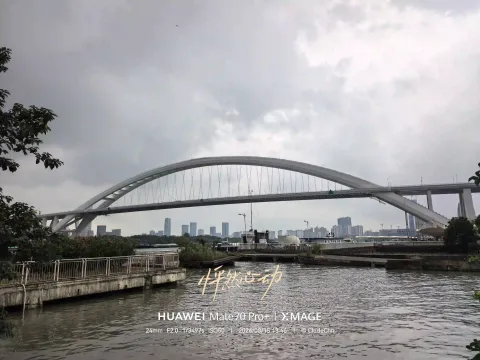 桥下漫步，静看大桥