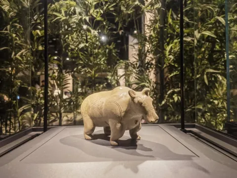 陶器文物展览
