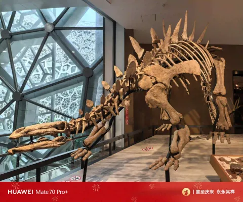 沱江龙完整骨架
