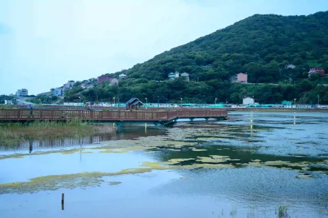 湿地木栈道