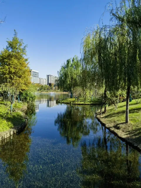 蔚蓝的天，清澈的水