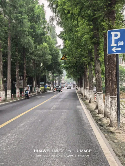 林荫长路
