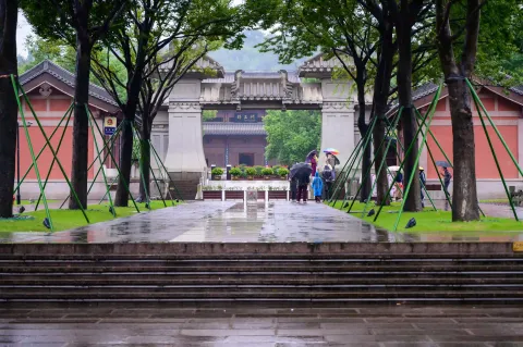 王陵前林木间走道