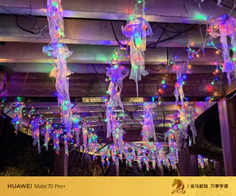 廊下水母彩灯
