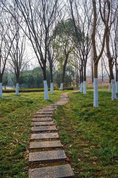 石板走道