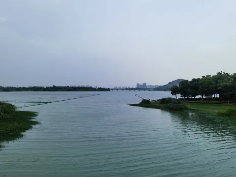 西山漾
