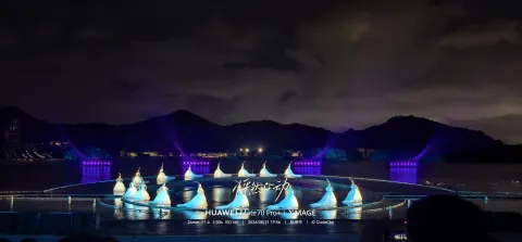 湖光鹤影