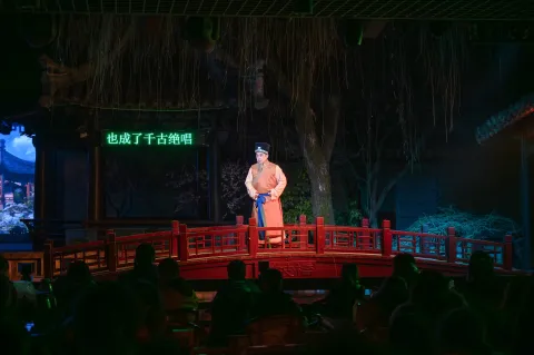《沈园之夜》