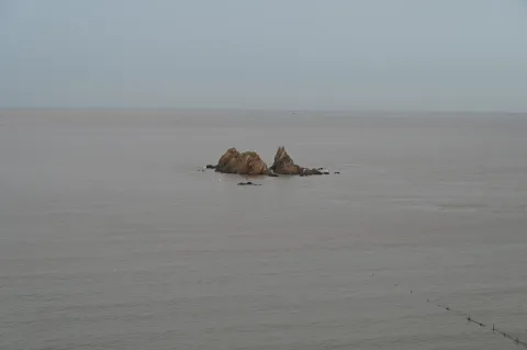 海水中的鸡冠礁