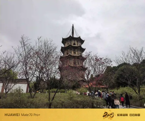 古塔远景