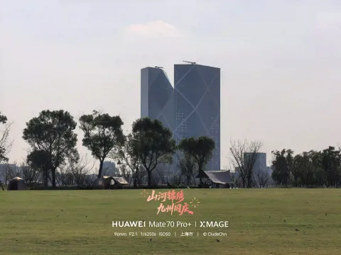 湖畔大草坪，远眺双子塔楼