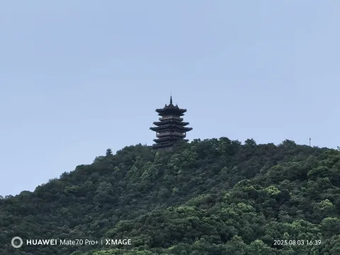 半山望阁