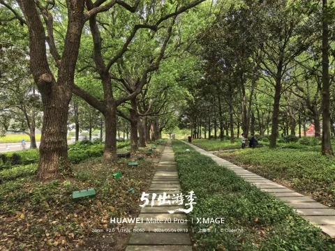 林间走道