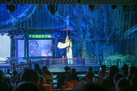 《沈园之夜》