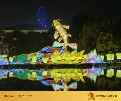 锦鲤荷花水灯