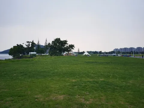 西山漾大草坪