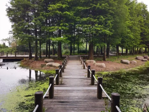走道