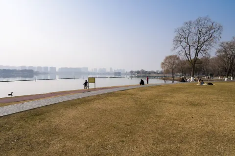 湖岸边的景色