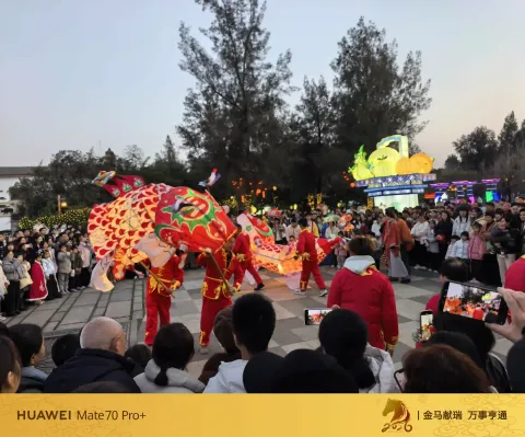 鱼灯巡游