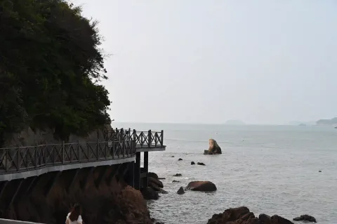 临海木栈道