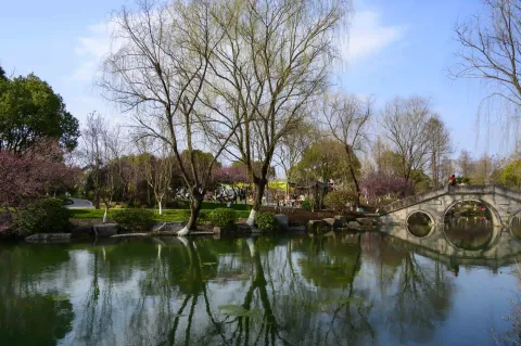 水岸边景色