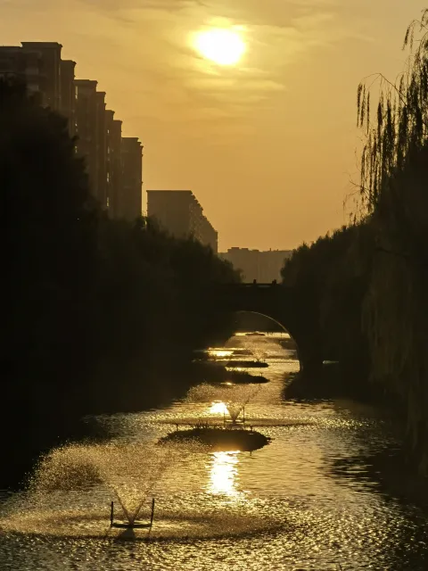 夕阳下的大农港