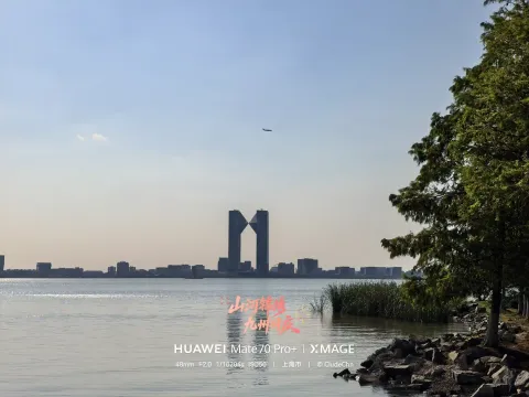 湖岸望见长空银翼