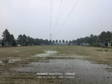 乡野水田