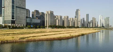 收割的mai'tian