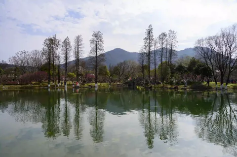 超山北门小湖景色