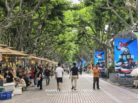 一路梧桐，漫逛西湖市集