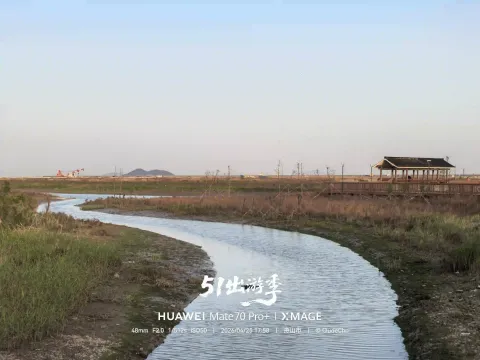 蜿蜒小河穿过滩涂芦苇