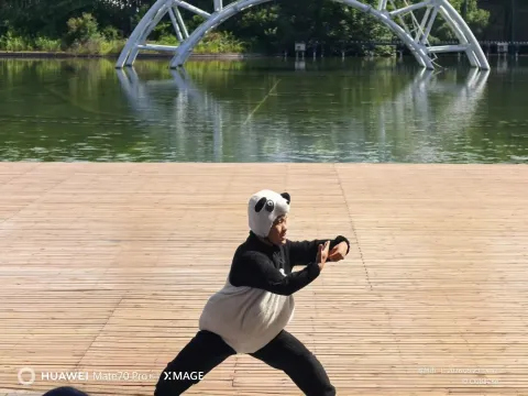 熊猫人打拳