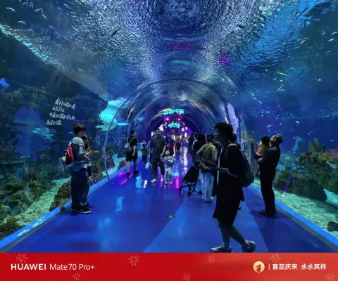 穿行蓝色穹顶，仿佛漫步深海之中