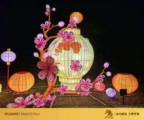 花瓶繁花灯组