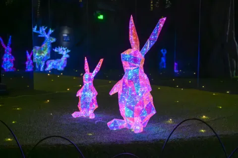 梦幻光影