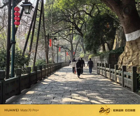 山林石径
