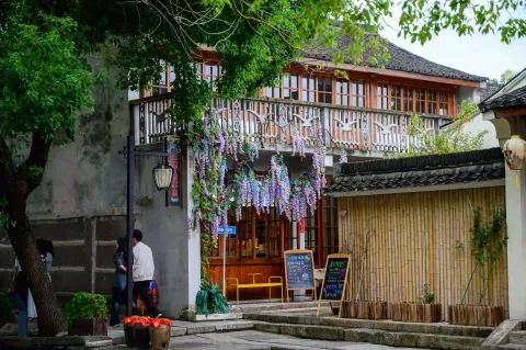 紫藤花装饰的临街商铺