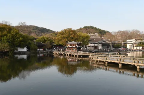 曲渡清波