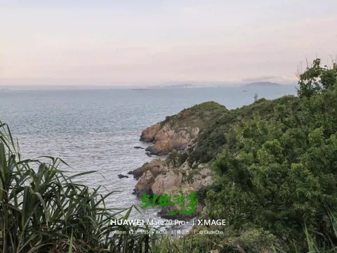 崖边观海
