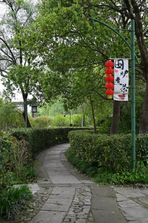 西溪湿地