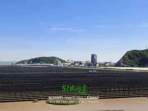 滩涂上的光伏