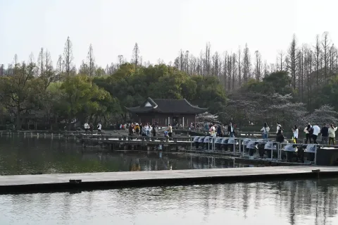 曲渡清波