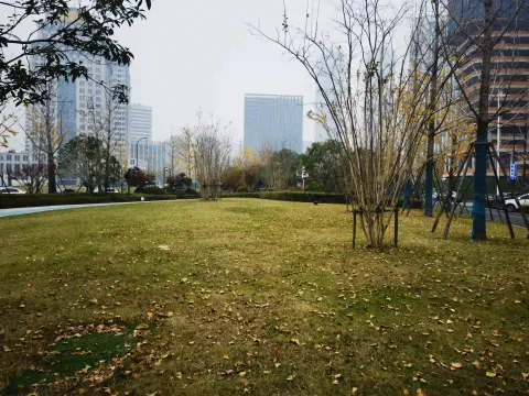 城市草坪，远处高楼